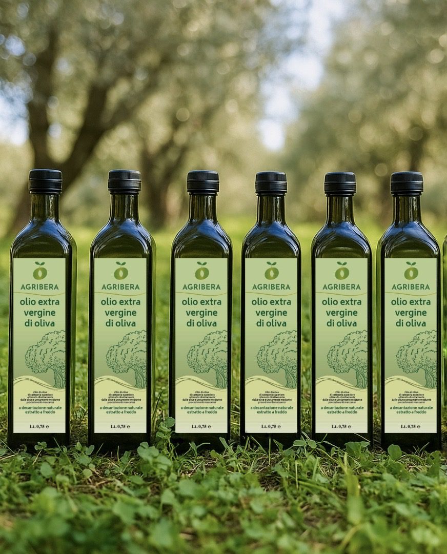 Box Olio EVO 6x750ml