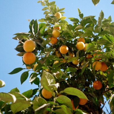 andreas-rasmussen-CdnJbmeSsuk-unsplash-e1760715728290 (1)